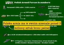 Polska armia w liczbach :)