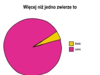 Więcej niż jedno zwierze to ... ;D Największy hit internetu! Musisz to znać!