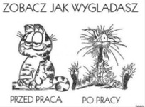 Przed pracą vs po pracy