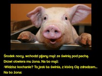 Środek nocy, wchodzi pijany mąż ze świnią pod pachą. "-Widzisz kochanie? To jest ta świnia, z którą Cię zdradzam..." hahah ;)