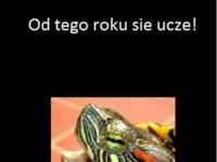 Od tego roku sie ucze!