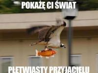 Pokażę Ci świat