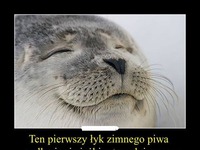 Ten pierwszy łyk zimnego piwa