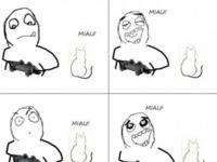 MIAU! :>