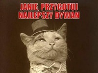 janie, przygotuj dywan