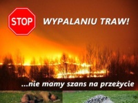 Nie wypalaj traw ;D