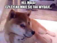 Hej, MAŁA! :)