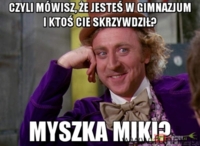 Skrzywdzona w gimnazjum