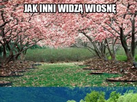 Wiosna