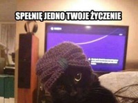 Spełnię jedno twoje życzenie