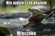 Mięczaku