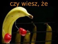 Czy wiesz, że