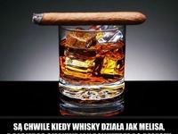 Są chwilie kiedy whisky działa jak melisa