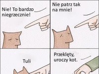 Koty takie są