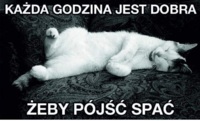 Każda godzina jest dobra