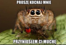 Prosze Kochaj mnie