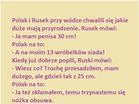 Polak i Rusek przy wódce chwali sie jakie maja przyrodzenie! :D