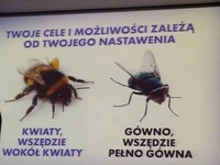 wszystko zależy od nastawienia