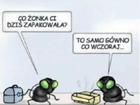 Co zapakowała