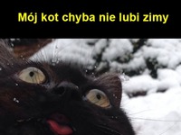Zła zima