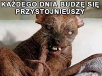 Każdego dnia....