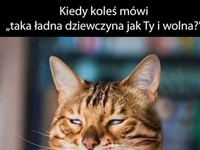 kiedy jakiś koleś mówi