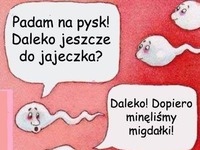 Biedne plemniki, troche sie napracowały! HAHA MOCNE!