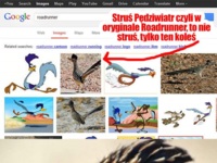 Struś pędziwiatr ;)