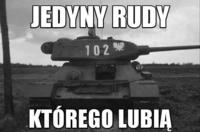 Jedyny rudy