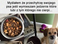 Myślałem że przechtyrzę swojego psa