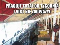 Pracownik