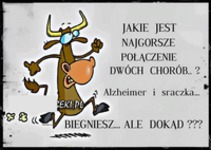 Najgorsze połączenie