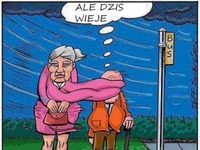 ale wieje