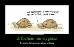 Z fochem nie wygrasz