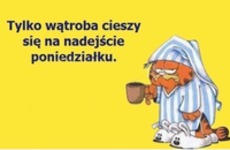 Wątroba