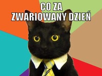 Co za zwariowany dzień