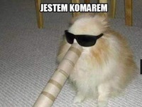 Jetę komarę