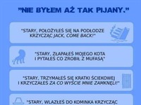 Nie byłem aż tak pijany