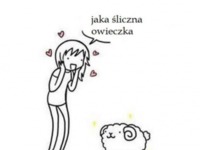 Jaka śliczna owieczka!