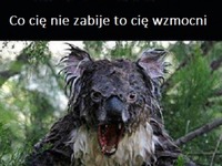 Skąd on się wziął =O