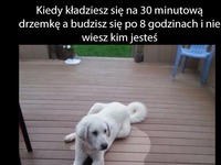 Tak jest