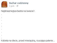 Najstraszniejsza bestia na świecie! Komentarze najlepsze :D
