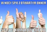 Komary to lubią