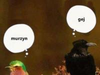 Stereotypy ;)