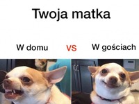 Twoja matka