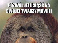 Bozwól jej usiąść na swojej twarzy