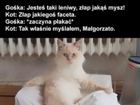 tak właśnie myślałem