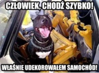 Człowiek szybko