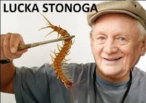 Lucka Stonoga