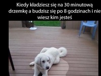 mała drzemka